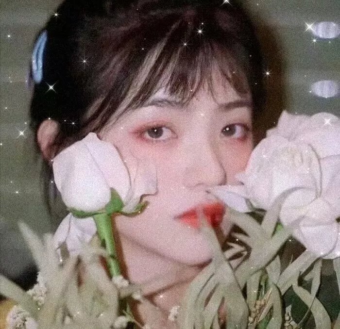 新灰姑娘